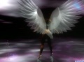 angels 14
