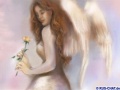 angels 22